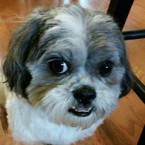 Meet your Posher, Kimberly