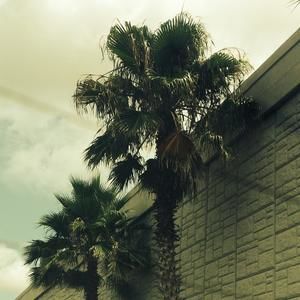 Meet your Posher, Amelia