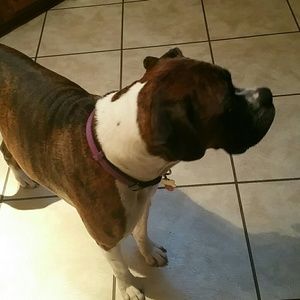 Meet your Posher, Lisa