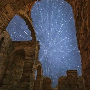 Meet your Posher, Diana