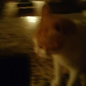 Meet your Posher, Claire