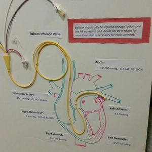 Meet your Posher, Claire