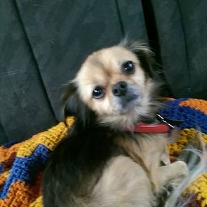 Meet your Posher, Paula