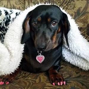 Meet your Posher, Tracie