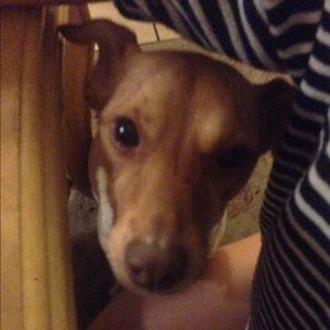 Meet your Posher, Melissa