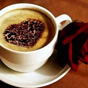 Meet your Posher, Karrie