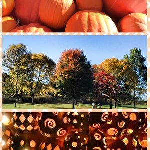 Meet your Posher, Kerri