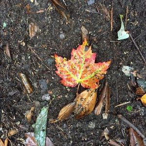 Meet your Posher, Kayse