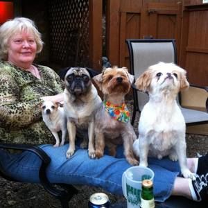 Meet your Posher, Suzanne