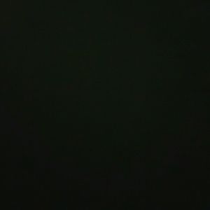 Meet your Posher, Jodie