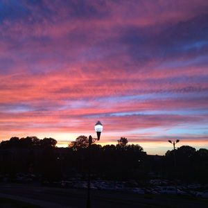 Meet your Posher, Katy