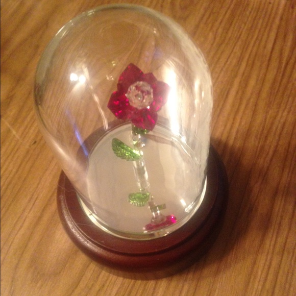 Beauty and the beast rose