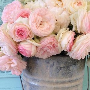 Meet your Posher, Simona