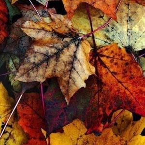 Meet your Posher, Yanett