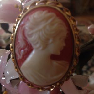 Vintage lucite cameo brooch