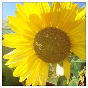 Meet your Posher, Angi