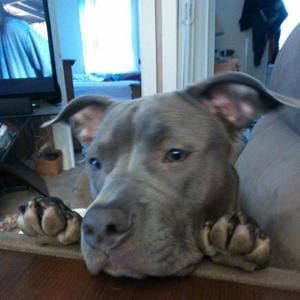 Meet your Posher, Larry