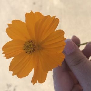 Meet your Posher, Lorena