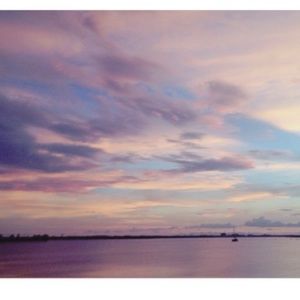 Meet your Posher, Joy