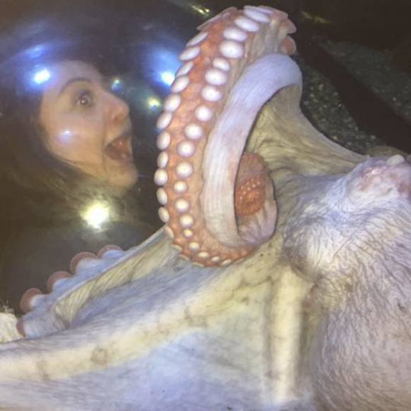 Meet your Posher, Yasmine - Picture 1 of 1