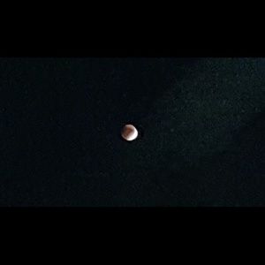 Meet your Posher, Bonnie