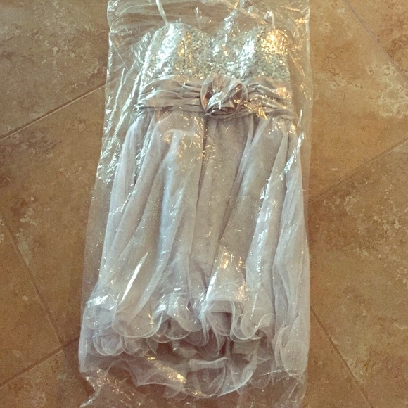 Silver homecoming dress