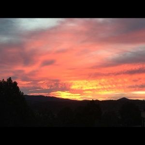 Meet your Posher, Misty