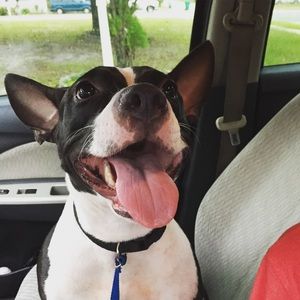 Meet your Posher, Raquel