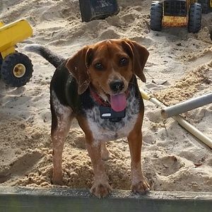 Meet your Posher, Jamie