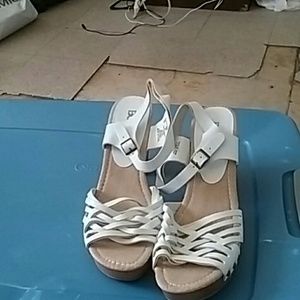 Bingo open does high hells shoea