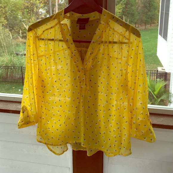 Yellow  top