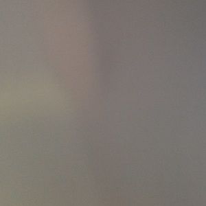 Meet your Posher, Brady