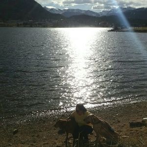 Meet your Posher, Diana