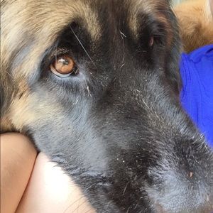 Meet your Posher, Ann