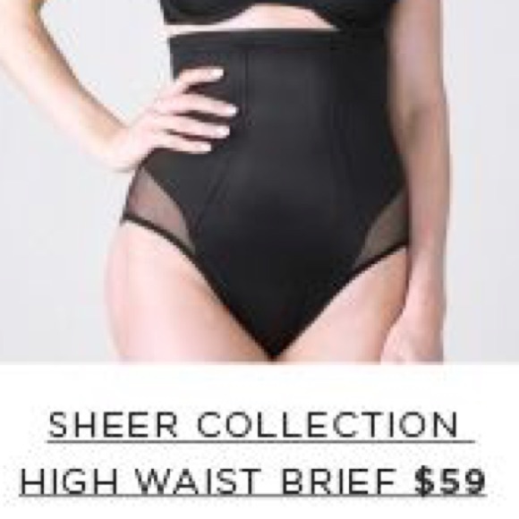 Ruby Ribbon Sheer High Waist shaping brief small
