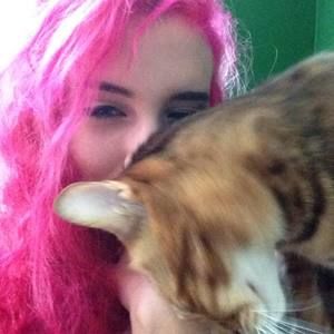 Meet your Posher, Autumn