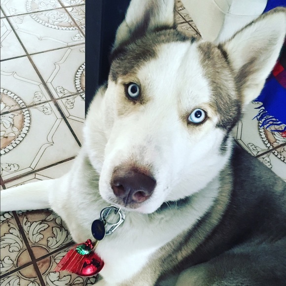 Meet your Posher, Stephanie - Picture 3 of 3