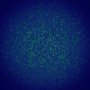 Meet your Posher, Sydney