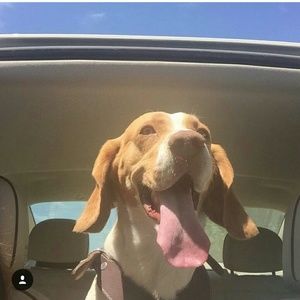 Meet your Posher, Daniela