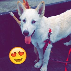 Meet your Posher, Jasmin