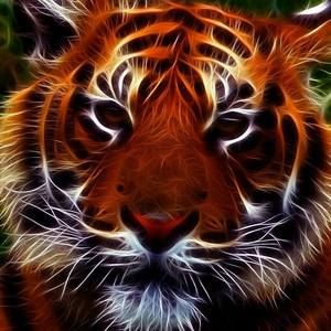 Meet your Posher, Wanda