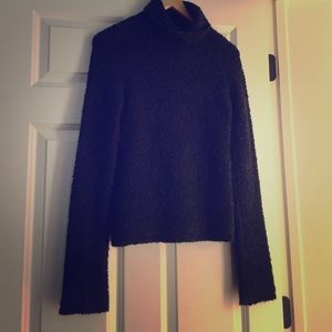 JCrew Turtleneck Sweater