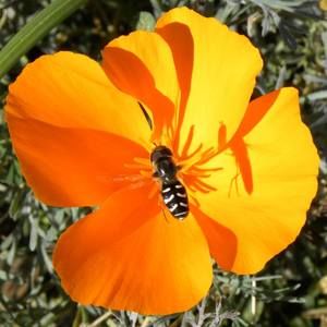 Meet your Posher, Kendra