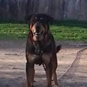 Meet your Posher, Norma