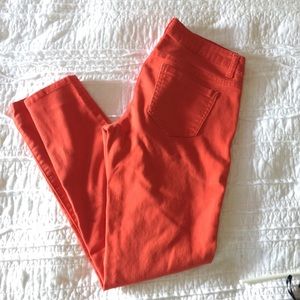Burnt Orange Skinny Jeans