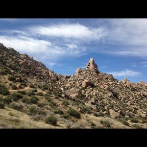 Meet your Posher, Brie