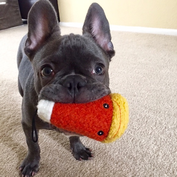 Meet your Posher, Megan - Picture 2 of 2