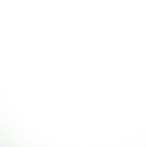 Meet your Posher, Shirlee