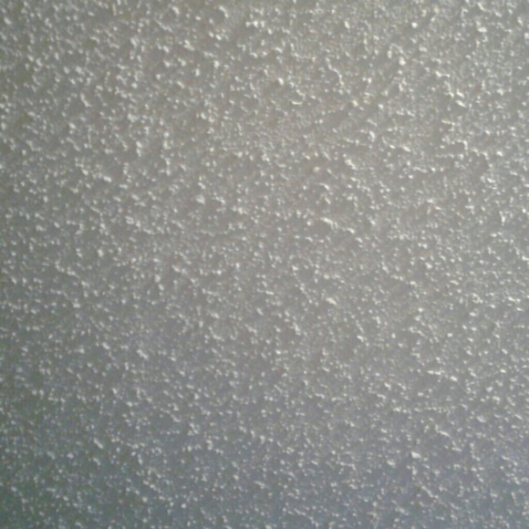 Meet your Posher, Haley - Picture 1 of 1