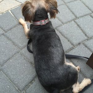 Meet your Posher, Ricky